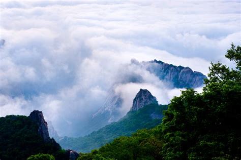 祖山|青龙祖山风景区游玩攻略简介,青龙祖山风景区门票/地址/图片/开放。